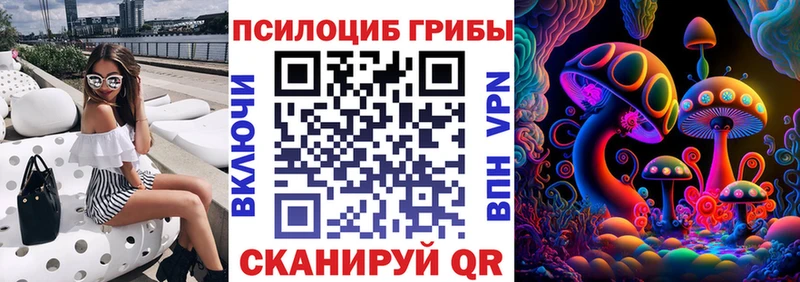 купить наркотики цена  Углегорск  OMG ссылки  Галлюциногенные грибы Cubensis 